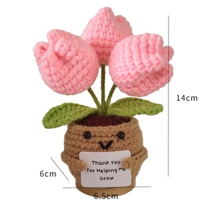 Pot de fleurs en crochet fait main avec poupée de soutien émotionnel, idéal pour offrir à des amis, à la famille, aux femmes et aux enseignantes - Product Image 5