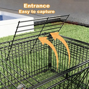 กรงดัก<span class=keywords><strong>นก</strong></span>แบบสี่ประตู สำหรับกู้ภัยสัตว์ป่าในเมือง ใช้งานกลางแจ้ง พร้อมระบบกลับอัตโนมัติ - Product Image 4