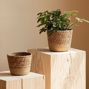 Ensemble de pots de fleurs en rotin vert faits à la main <span class=keywords><strong>panier</strong></span> à herbe de décoration de <span class=keywords><strong>table</strong></span> pour le stockage des plantes pour l'extérieur et l'intérieur - Product Image 3