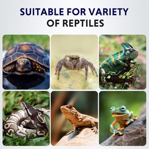 120V 8*12 trong không thấm nước bò sát nhiệt Mat có thể điều chỉnh & an toàn sưởi ấm pad cho thằn lằn, rắn & rùa chúng tôi kép hiển thị kỹ thuật số - Product Image 4