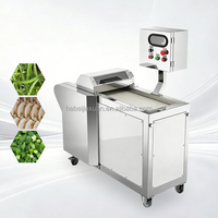 Industriële voedselverwerkingsmachine voor het automatisch snijden van fruit en groenten met motor voor centrale keukens en catering.