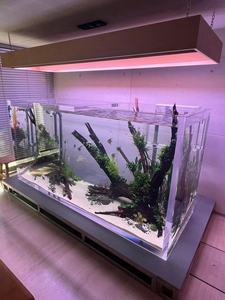 Tanque de acuario acrílico transparente personalizado PC duradero plástico ligero y resistente a los arañazos directo de fábrica OEM/ODM - Product Image 5