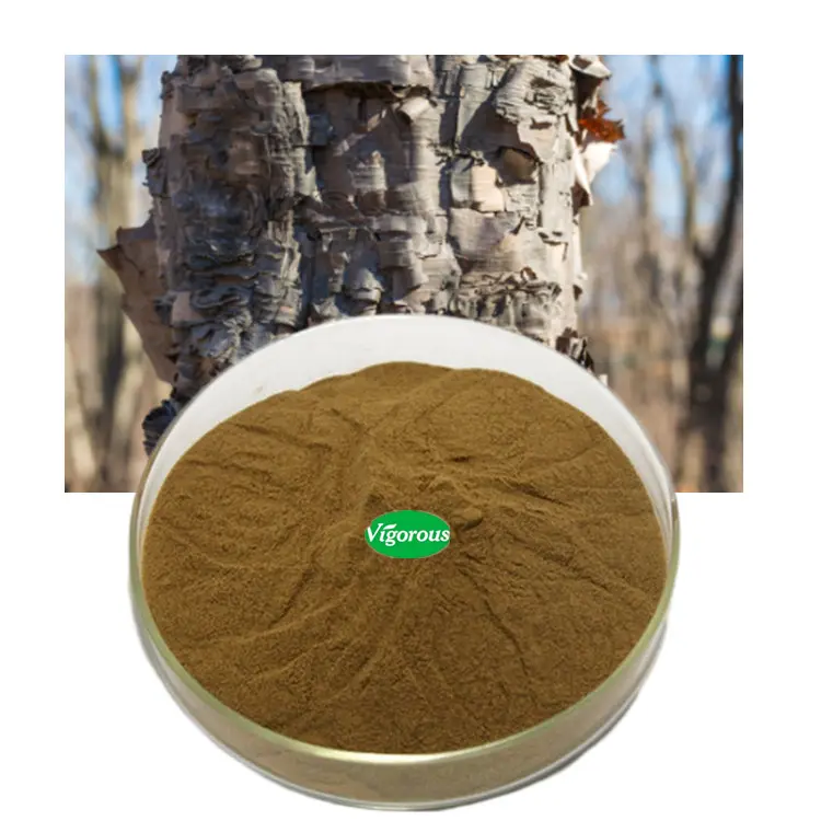 무료 샘플 도매 핫 세일 좋은 품질 Betula 알바 자작 나무 껍질 추출 분말