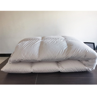Édredon en duvet d'oie/canard personnalisé, 100% coton, 400 TC, 1 pièce, couette quatre saisons, hôtel