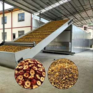 Máquina de secado automática con cinta transportadora de malla, secador industrial continuo para deshidratación de frutas y verduras - Product Image 1