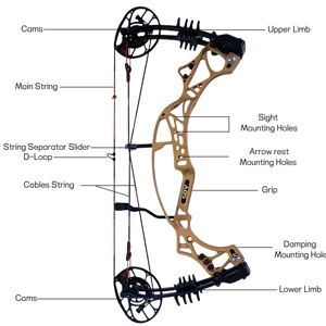 Ensemble d'arc composé AGS Shengsuan 4.0, 350 FPS, 40-70 lbs, double caméra, pour la chasse et le tir à l'arc avancé, 210813401-AME-BLACK AGS Shengsuan 4. - Product Image 3