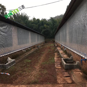Bâche transparente haute résistance <span class=keywords><strong>pour</strong></span> abri de poulets, rideau d'élevage de porcs, film tissé à bord renforcé enroulable - Product Image 1