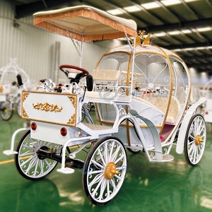 Nouvelle annonce : Élégante carrosse électrique en forme de citrouille, capacité 4-6 places, 4 roues, personnalisable, à vendre - Product Image 5