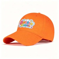 Hoge kwaliteit, lage profiel stijl, op maat geborduurde logo terry sport petten, 6-delige baseball petten, luipaard/fruit print voor unisex