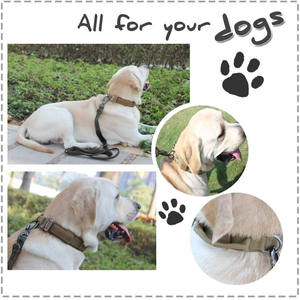 Collier de chien tactique réglable en Nylon, boucle métallique robuste, collier de chien tactique avec poignée - Product Image 6