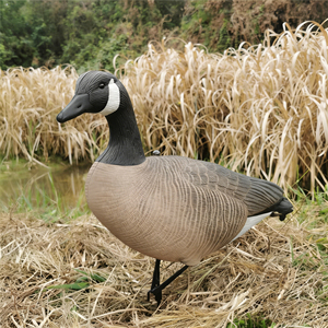 Cross-border Modern EVA Goose Simulated Big <b>Hunting</b> Outdoor <b>Decoy</b> Feeder Bodies 3D Customized Posture - Product Image 3