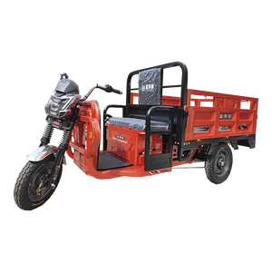 Tricicli elettrici del carico elettrico della ruota della cina 60v 3 per l'adulto - Product Image 3