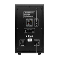 Nouveau Système Sonore Musical Q-BOX Q-503 Hoofer