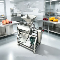 Industriële fruitverwerkingsmachine voor sapwinning, machine voor het vermalen en sap maken van fruit en groenten in grote hoeveelheden