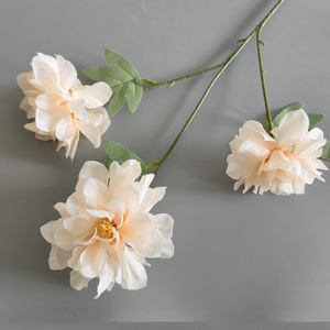 Décoration florale de mariage couleur champagne : arrangement floral pour <span class=keywords><strong>arche</strong></span>, décoration au sol, hydrangea et rose individuels - Product Image 5