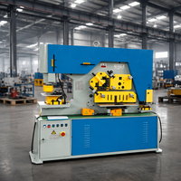 Machine de découpe et de poinçonnage hydraulique combinée pour tôles, prix usine