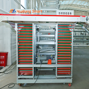 Sistema de Bebederos Automáticos con Cinturón para Eliminar Estiércol, Diseño Modular Tipo H, <span class=keywords><strong>Jaula</strong></span> para Gallinas Ponedoras para Granjas Avícolas a Gran Escala - Product Image 3