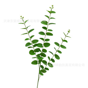 Planta Artificial de Hojas de Dinero de Dongchen Crafts, 30cm-100cm, Flores en Jarrón, Decoración Verde para el Hogar, Accesorios para Bodas - Product Image 2