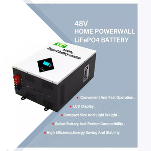 ESG Pin Năng Lượng Mặt Trời Gắn Tường 48V 100Ah Năng Lượng Mới Pin Lithium Ion BMS 4U LiFePo4 Tích Hợp Pin <span class=keywords><strong>Litium</strong></span> - Product Image 5