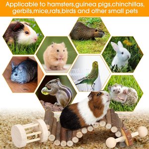 Set di giocattoli da masticare per animali piccoli Premium per criceti porcellini d'India cincillà gerbilli topi e ratti accessori in legno per la cura dei denti - Product Image 6