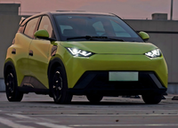 Kit carrosserie amélioré TK à prix d'usine pour BYD SEAGULL – Pare-chocs avant et arrière, accessoires de spoiler de voiture de haute qualité, pièces automobiles