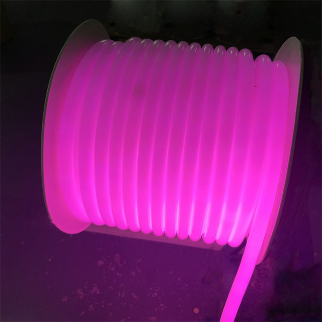 High Quality 220V 24V 6000K Warm/Cold White 360 Round PVC Neon Rope Light 120 LED Cold Resisting Flex IP44 Ra80 for Landscape