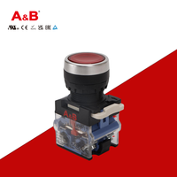 Tombol Reset Otomatis dengan Lampu, Satu Tombol Nyala dan Satu Tombol Mati, Diameter 22mm, Tombol Kontrol Start, AC220V