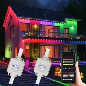 Waterproof Addressable Led Pixel Lamp String Phone Controlled Permanent Lights DC24/36V Point Lights Zhihoo