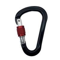 Mousqueton de sécurité en alliage d'aluminium en forme d'oreille 25kN avec verrouillage à vis pour équipement de sécurité professionnel pour la randonnée en extérieur