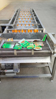 Professionele Lage Prijs Industriële Luchtmacht Multifunctionele Fruit & Groenten Wasmachine