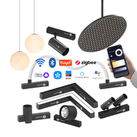 Projecteur sur rail magnétique haute tension 25 mm 220 V, grille pliable, 10W 18W 24W, LED CCT intelligentes et dimmables pour usage commercial