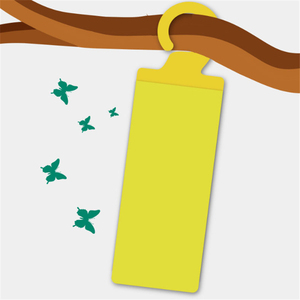 Papel Adhesivo Amarillo para Moscas, Trampa de Doble Cara para Insectos, Tabla de Pegamento para Moscas de la Fruta, Control de Plagas Personalizado para Huertos - Product Image 1