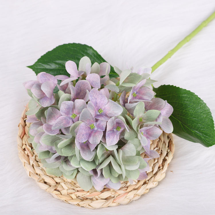 สีม่วงเขียว