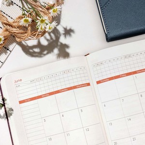 Book Calendar 2025 A5 - Leather Look Design Executive Planner 2025 A5