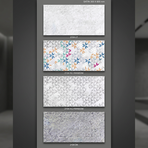 Azulejos de Pared para Cocina, Baño y Pasillo a Precio Económico, 300x600mm, Cerámica Esmaltada Mate, 30x60cm, Digital, 12x24, Proveedor de Fábrica en India - Product Image 1