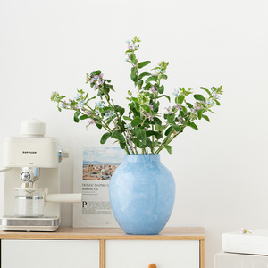 Jarrón de Vidrio Transparente Artístico con Forma de Barriga Grande, con Función Hidropónica, para Sala de Estar, Hotel, Exhibición de Flores, Decoración de Hogar de Lujo - Product Image 3