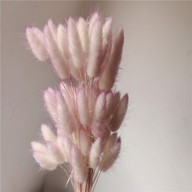 Pink purple