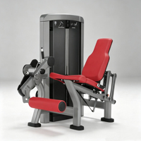 Appareil d'entraînement pour extensions de jambes, machine de musculation professionnelle, construction en acier réglable, conception durable et sûre pour l'entraînement des muscles avant de la cuisse