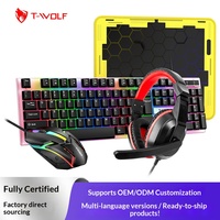 Ensemble clavier, souris, casque et tapis de souris T-WOLF TF240 pour jeux, version espagnole, filaire, en stock