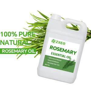 Großhandel reines Bio-Rosmarin ätherisches Öl für Aroma therapie Kosmetik Gesichts pflege & Haarwuchs Massen preis - Product Image 2