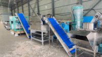 Ligne de machines industrielles à peler l'ail avec conception économe en eau, machine à peler l'ail pour usine de poudre d'ail