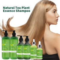 Minyak Pohon Teh Alami Anti-Rambut Rontok Terapi Pertumbuhan Rambut Cepat Sampo Pertumbuhan Rambut Organik Anti-Ketombe Melembapkan Kulit Kepala
