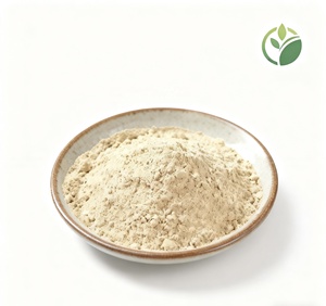 Wholesale Supply Best Price High Quality Ginseng <strong>Extract</strong> Powder Pure Natural Ginsenoside Solvent Extraction Food Grade - Product Image 1