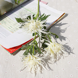 <span class=keywords><strong>Fleur</strong></span> artificielle à tige longue en plastique, toucher réaliste, <span class=keywords><strong>fleur</strong></span> <span class=keywords><strong>de</strong></span> mer, glycines creuse - Product Image 5
