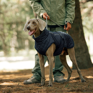 Giacca per Cani Personalizzata Antivento Resistente all'Acqua per Bassotto e Levriero Cappotto per Animali Domestici da Esterno - Product Image 1