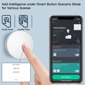 OEM ODM Mini tamaño compatible Alexa <span class=keywords><strong>Google</strong></span> Home funciona con pilas Pastable 1 botón Zigbee interruptor Tuya botón inteligente - Product Image 5