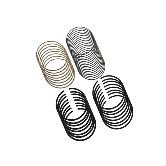 42081CP High Performance Piston Ring Set Auto Engine Parts Suitable for Ford 3.5 OEM 42081CP