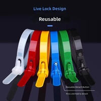 Attaches-câbles en nylon réglables à clipser, rétractables, réutilisables, colorées, en plastique, pour jardinage, avec boucles réutilisables, 100 pièces