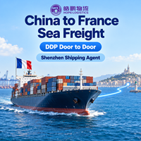 Transitaire Chine-France, Agent de Fret Maritime, Service de Fret Maritime LCL Porte-à-Porte depuis Shenzhen pour le Fret Import