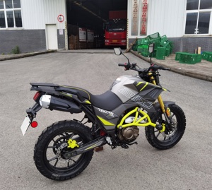 CHINA <strong>MOTORCYCLES</strong> <strong>250CC</strong> <strong>MOTORCYCLE</strong> FUEGO <strong>TEKKEN</strong> 250 No.22060601 - Product Image 6